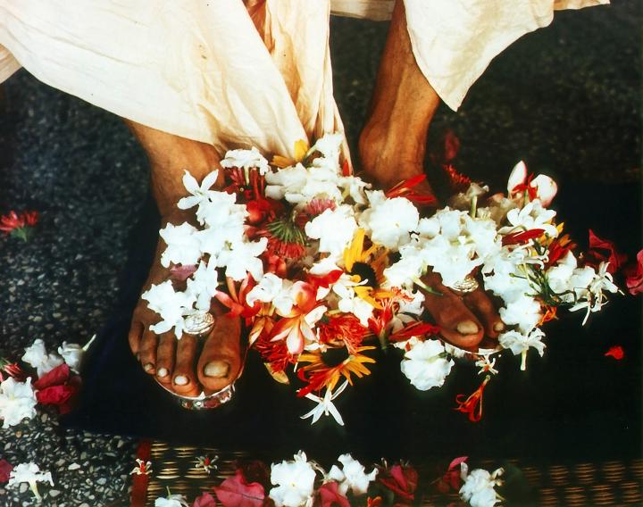 Srila Prabhupada's Lotus Feet